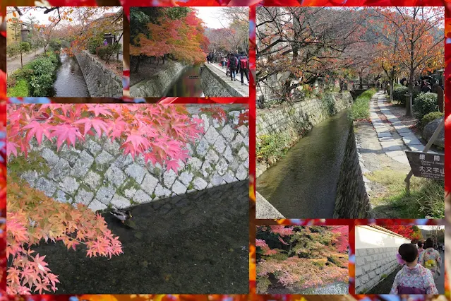 Collage of photos of Philosopher's Walk in Kyoto Japan in the Autumn