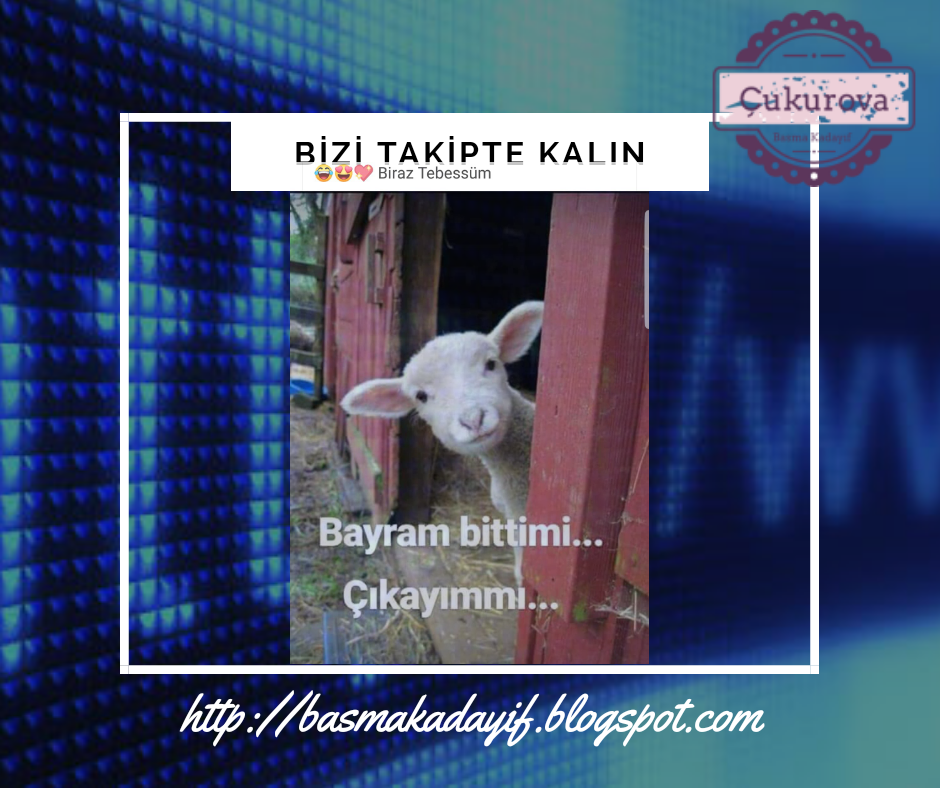 basmakadayif blogspot com