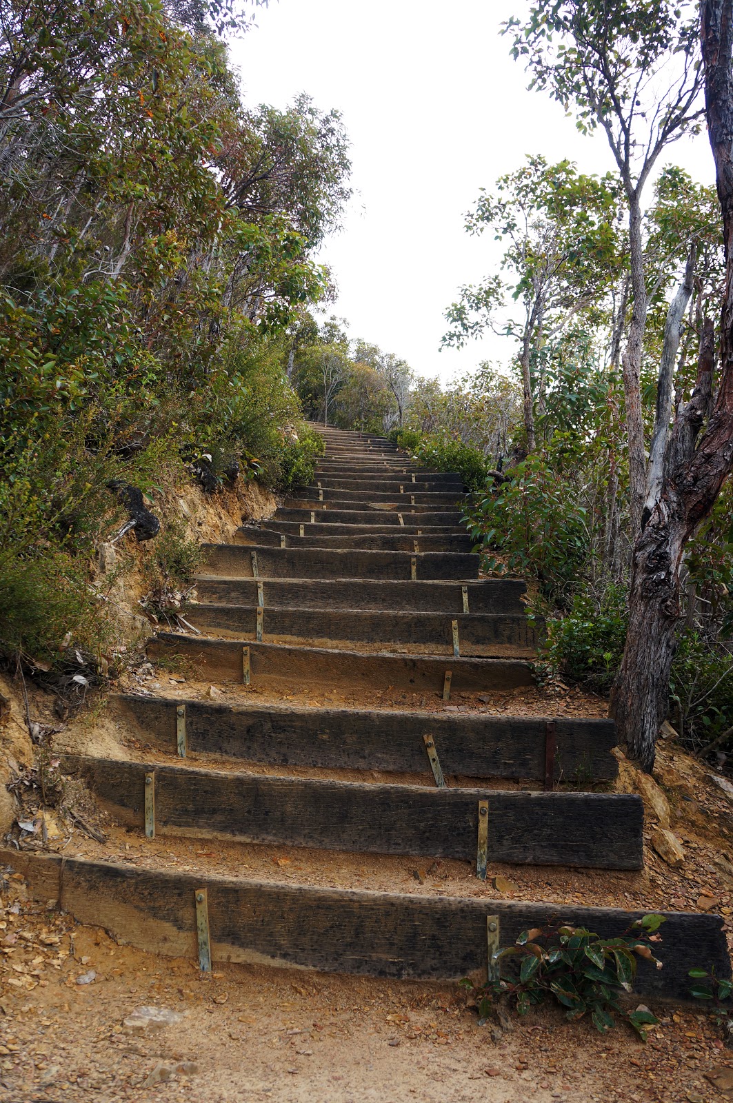 BLUFF KNOLL