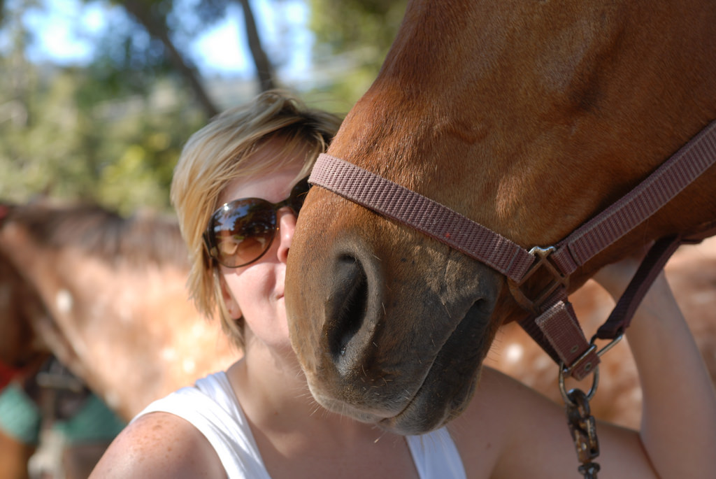 "From the horse's mouth" nghĩa là gì?