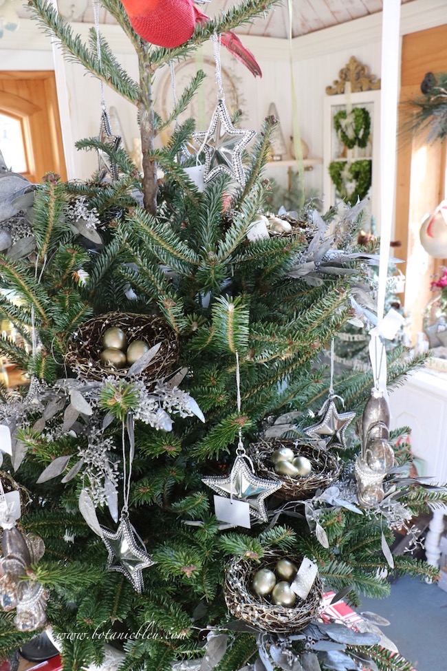 Botanic Bleu: Bird\'s Nest in Christmas Tree | Table Top Tree