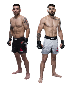 Watch UFC live Stream