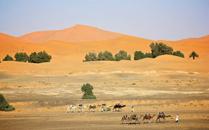 Merzouga Desert Trips