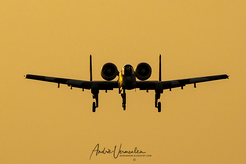 AVWindow: A10-Warthog Radio controlled Model Aircraft