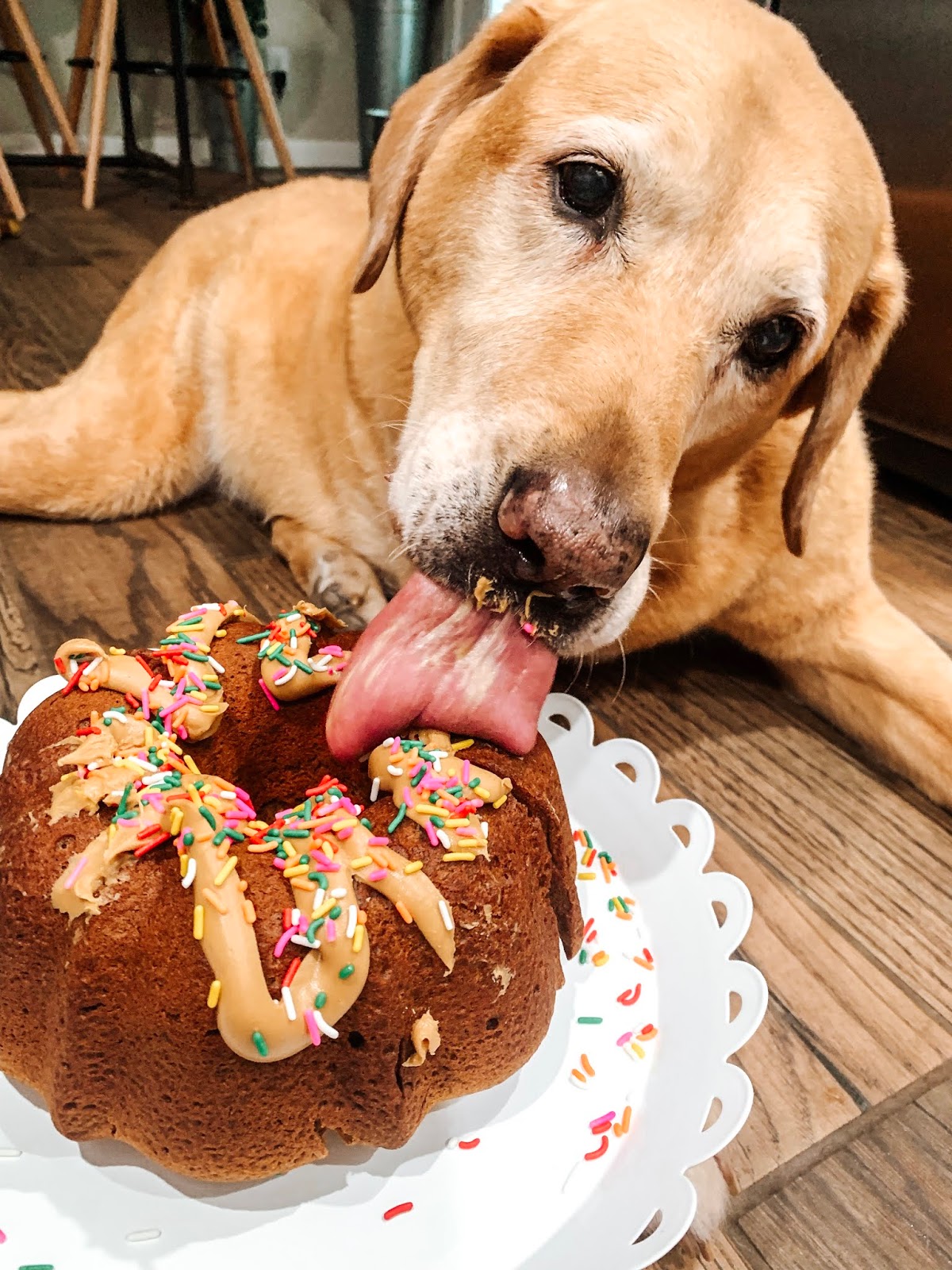 My Peanut Butter Dog Birthday Cake Recipe - Treat Dreams...are made of this
