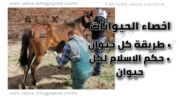 حكم وطريقة اخصاء الحيوانات الماشية والاليفة