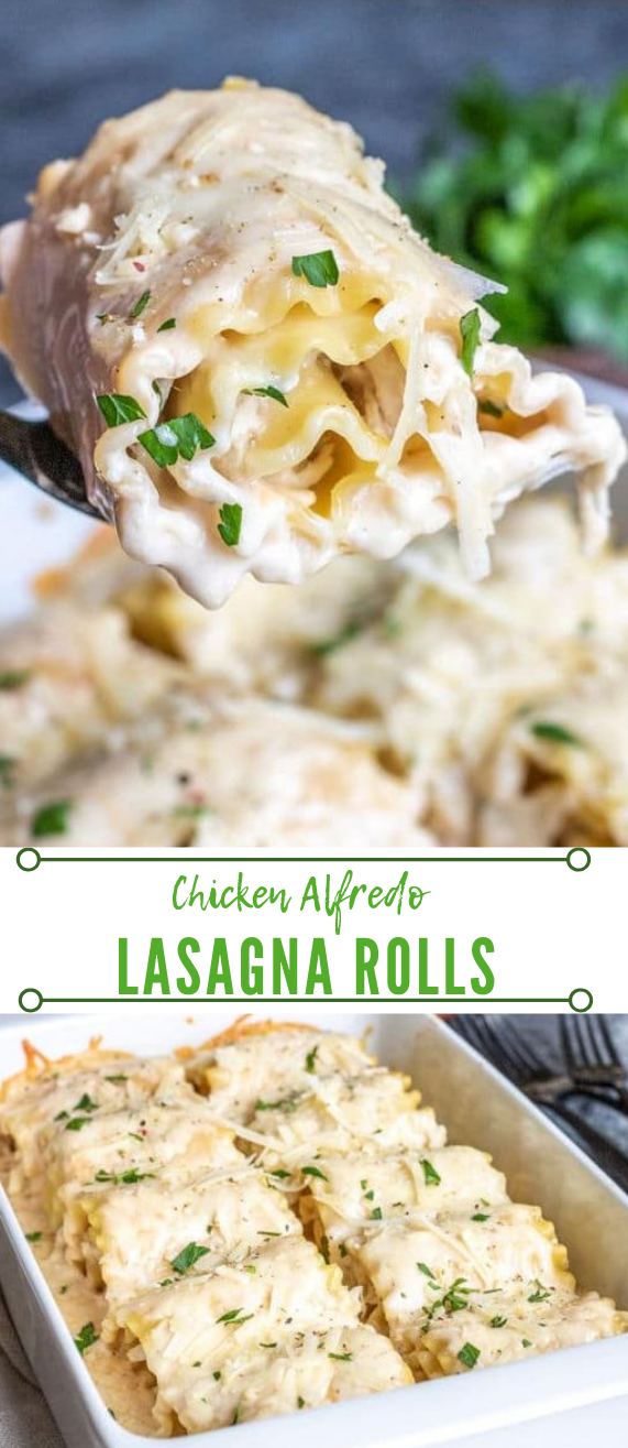 CHICKEN ALFREDO LASAGNA ROLL UPS #lasagna #chicken #dinner #healthy #familydinner CHICKEN ALFREDO LASAGNA ROLL UPS #lasagna #chicken #dinner #healthy #familydinner