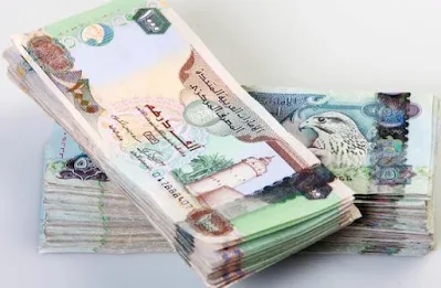 متوسط ​​الأجور والرواتب في دولة الإمارات العربية المتحدة