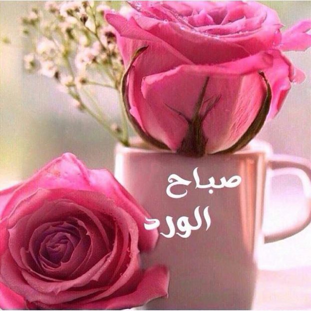صور صباح الخير ذات أروع وأجدد خلفيات