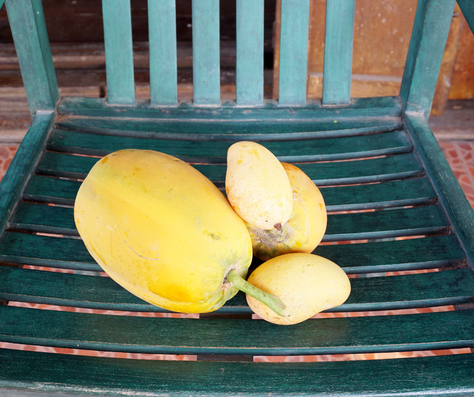 Prepare yon Mask Mango ak Papay pou Cheve w gen plis Elastisite Prepare yon Mask Mango ak Papay pou Cheve w gen plis Elastisite