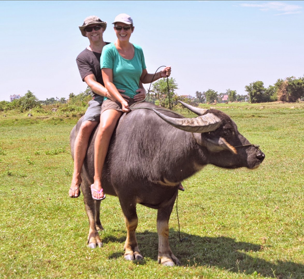 Top 93+ Pictures Pictures Of Water Buffalo In The Philippines Latest