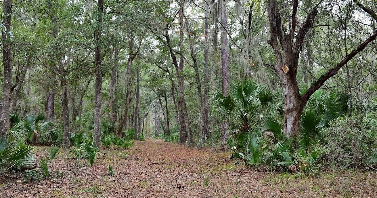 Waterfall Hero Hikes Victoria Bluff Heritage Preserve/Wildlife