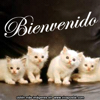 Oiesapendejada: Bienvenidos Y Bienvenidas