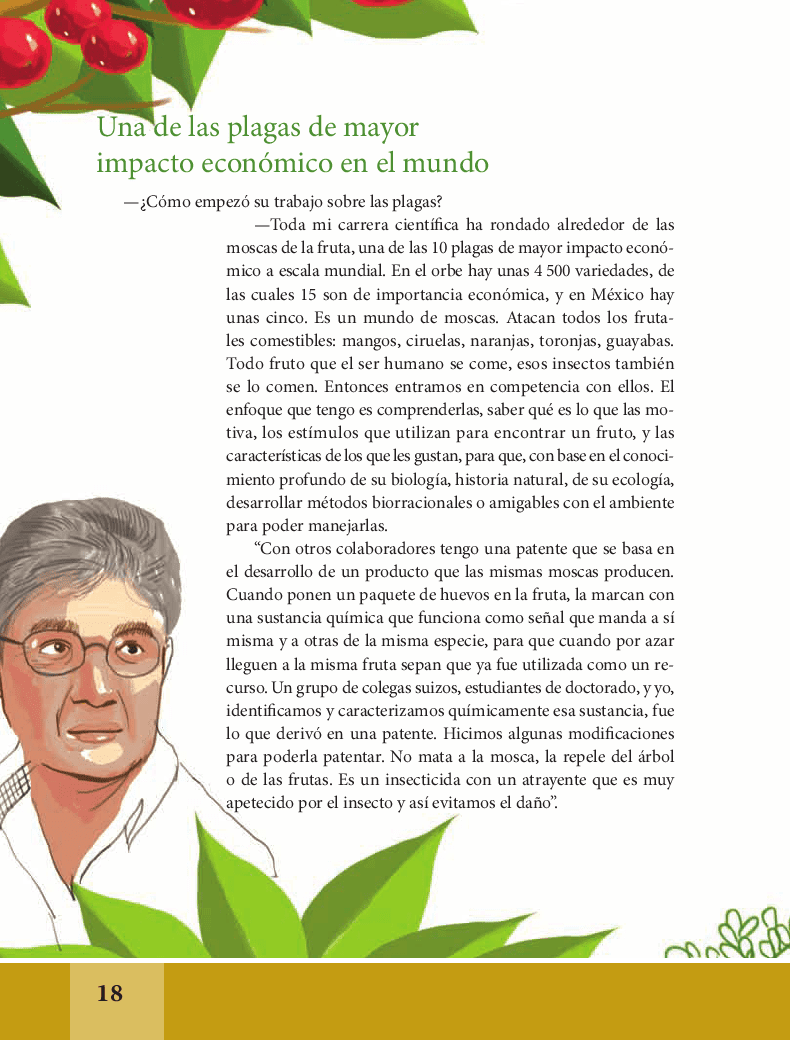 Estoy enamorado de las moscas de la fruta; son fascinantes: Ramón Aluja - Español Lecturas 6to 2014-2015 