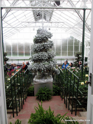 Christmas 'tree' of silver plants - A Longwood Gardens PhotoJournal, Part One on Homeschool Coffee Break @ kympossibleblog.blogspot.com