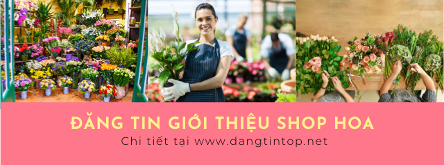 DỊCH VỤ ĐĂNG TIN RAO VẶT GIỚI THIỆU SHOP HOA 0