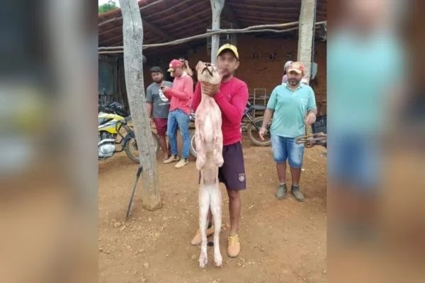 Homens matam onça e posam para fotos ao lado do animal no Ceará