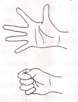 hand-yoga-exercise-in-hindi