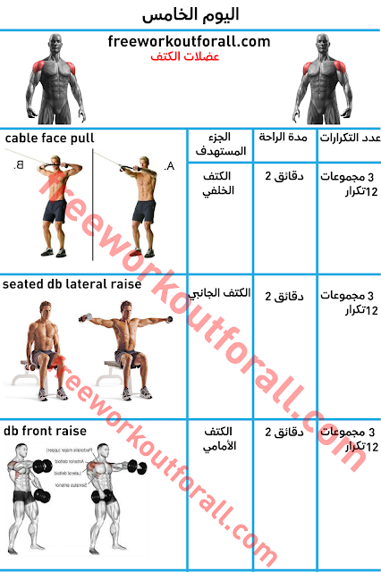 جدول تمارين كمال الاجسام 5 ايام بالصور