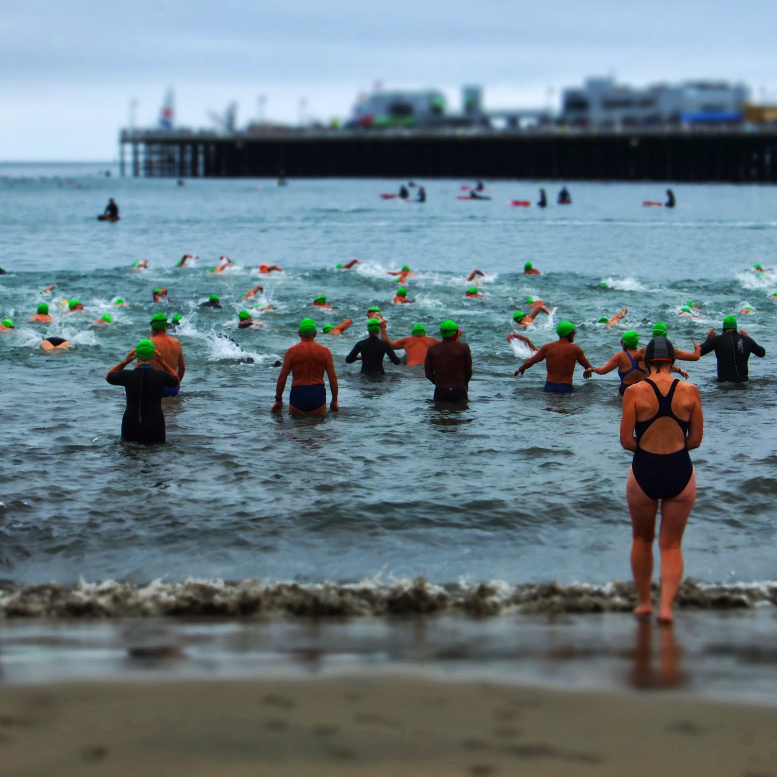 best beaches in santa cruz best beaches in santa cruz