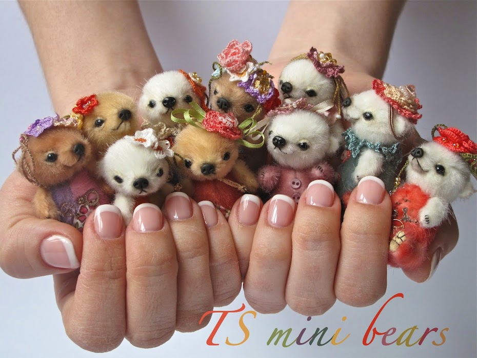 TS mini bears