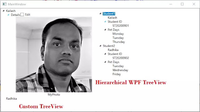 WPF TreeView Example