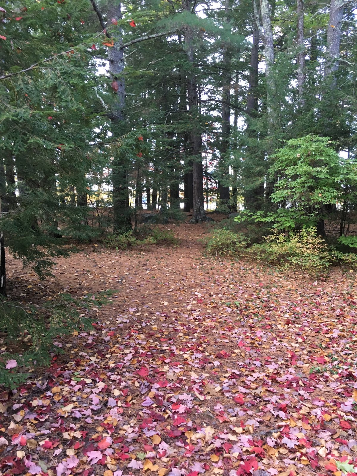 A Journey into the Past Sebago Lake Maine Day Three