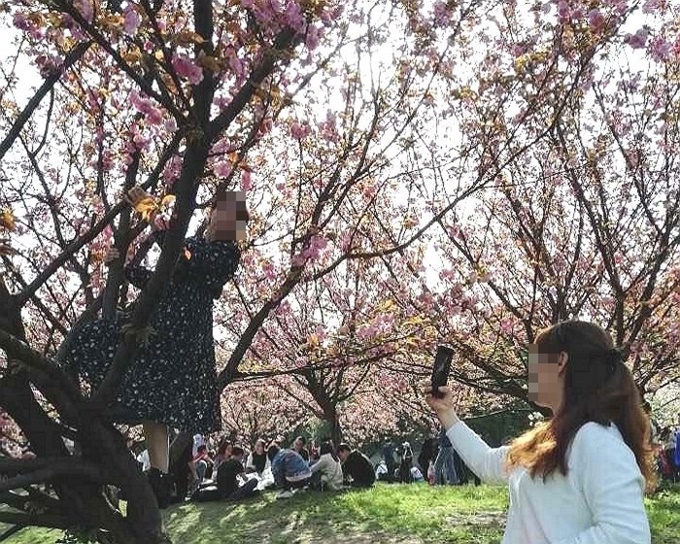 이미지에 대체텍스트 속성이 없습니다; 파일명은 %25EB%2583%2590%25E3%2585%259C%25E3%2585%2581.jpg 입니다.