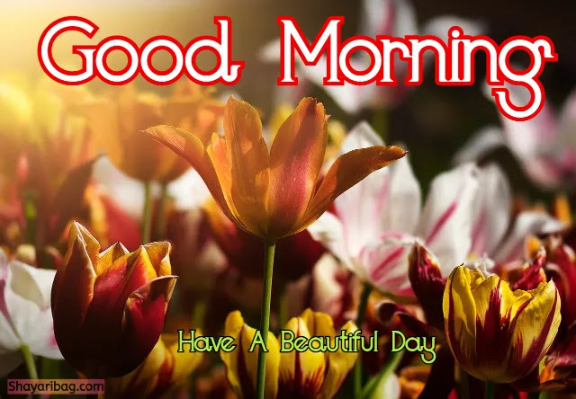 Good Morning with Flowers Good Morning with Flowers