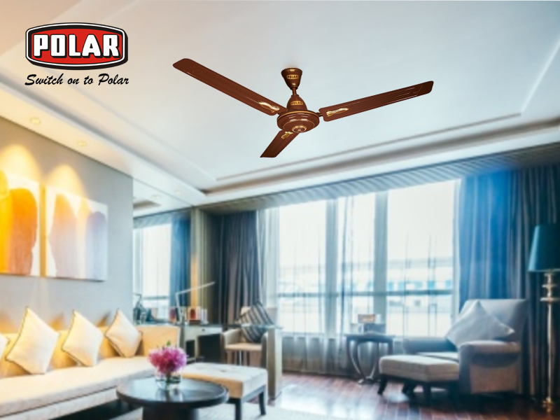 Polar India Buy Efficient And Attractive Fans For Your