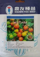 tomat mutiara, manfaat tomat, cara menanam tomat, jual benih tomat hibrida, toko pertanian, toko online, lmga agro