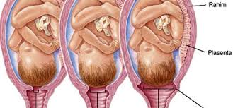 dogum zamani geldigini nasil anlariz