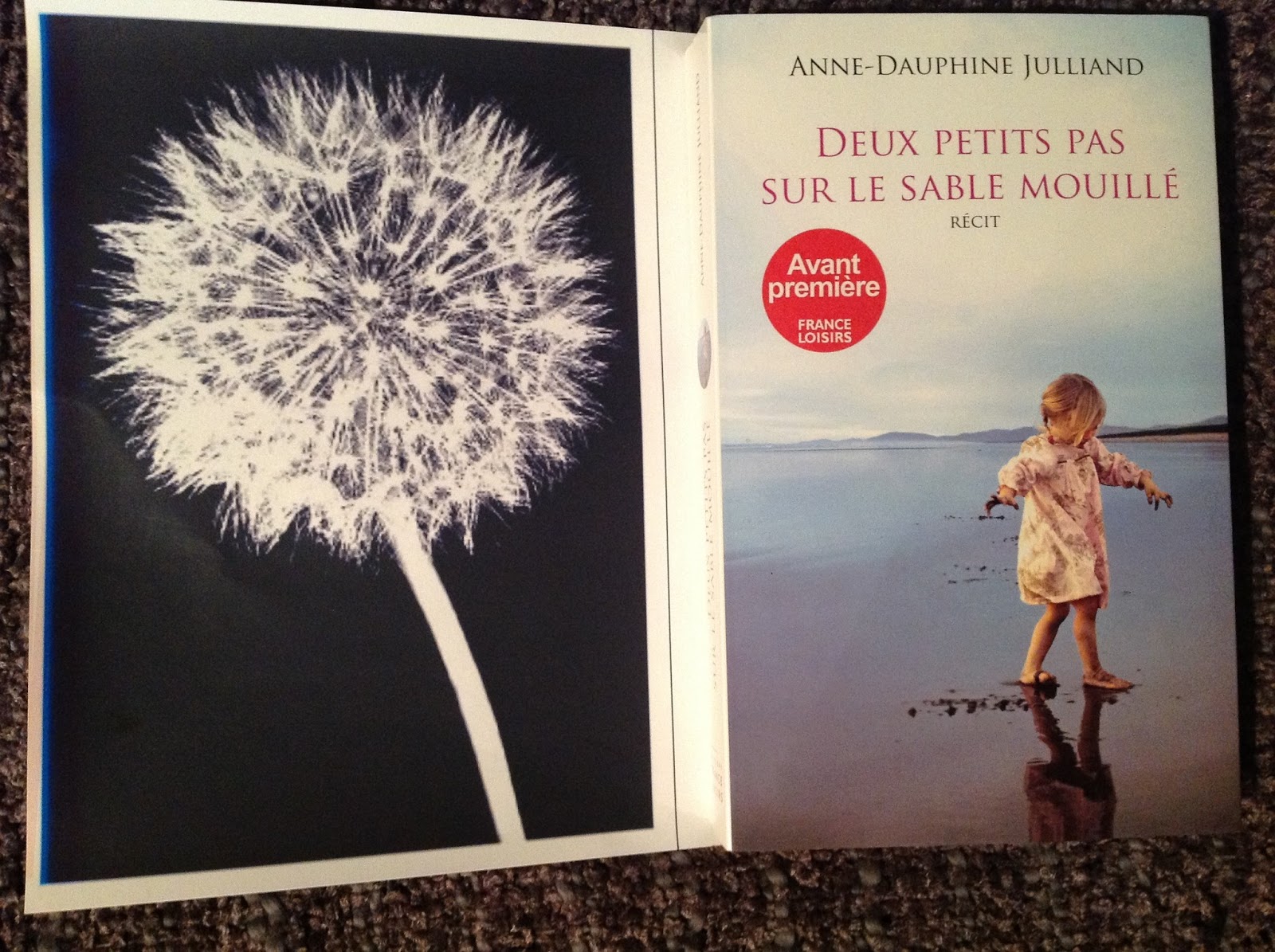 Dandelion Deux petits pas sur le sable mouillé et Une Journée particulière d'AnneDauphine Julliand Dandelion Deux petits pas sur le sable mouillé et Une Journée particulière d'AnneDauphine Julliand