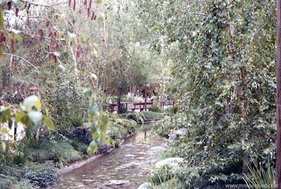 Bear Country Disneyland creek 1975 Bears Jamboree trees
