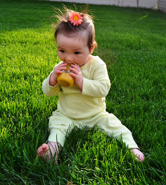 Beechnut Organic Baby Foods
