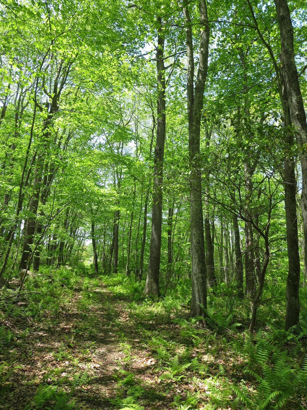 EnoViti: 05/01/2015 - 06/01/2015