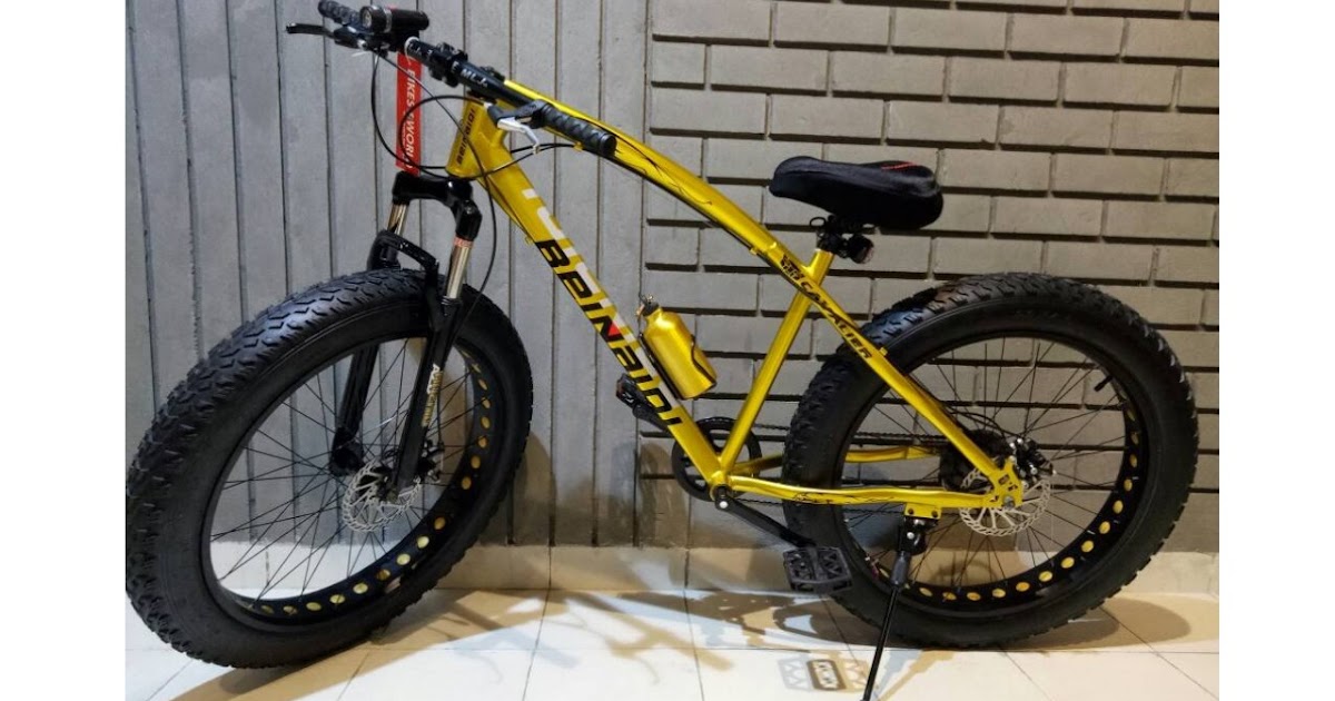 Gadget Review Best Mountain Bike in India Love Freedom Jaguar Fat