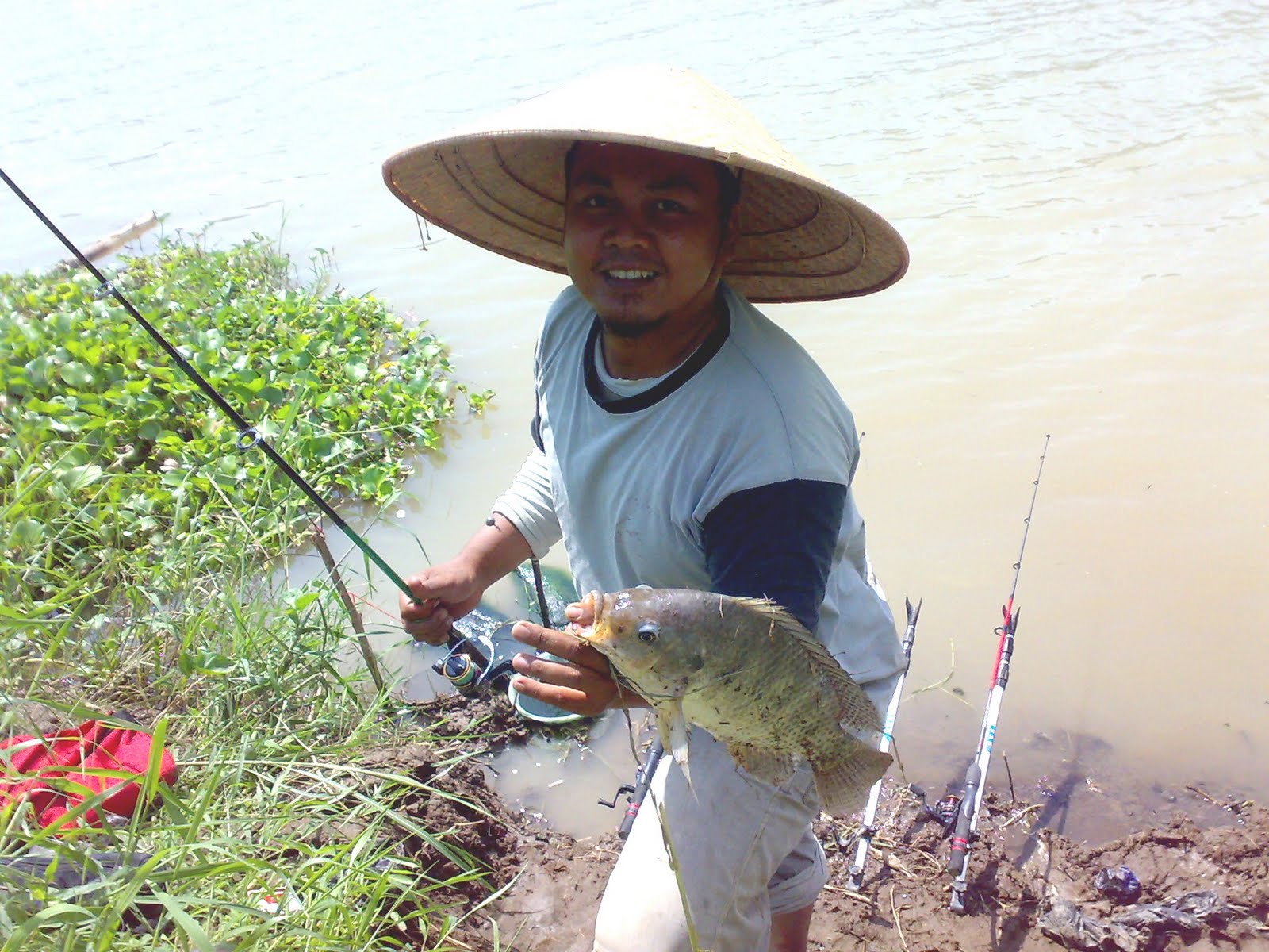 Trik Mancing Ikan Nila Di Sungai Hobi Mancing trik-mancing-ikan-nila-di-sungai-hobi-mancing