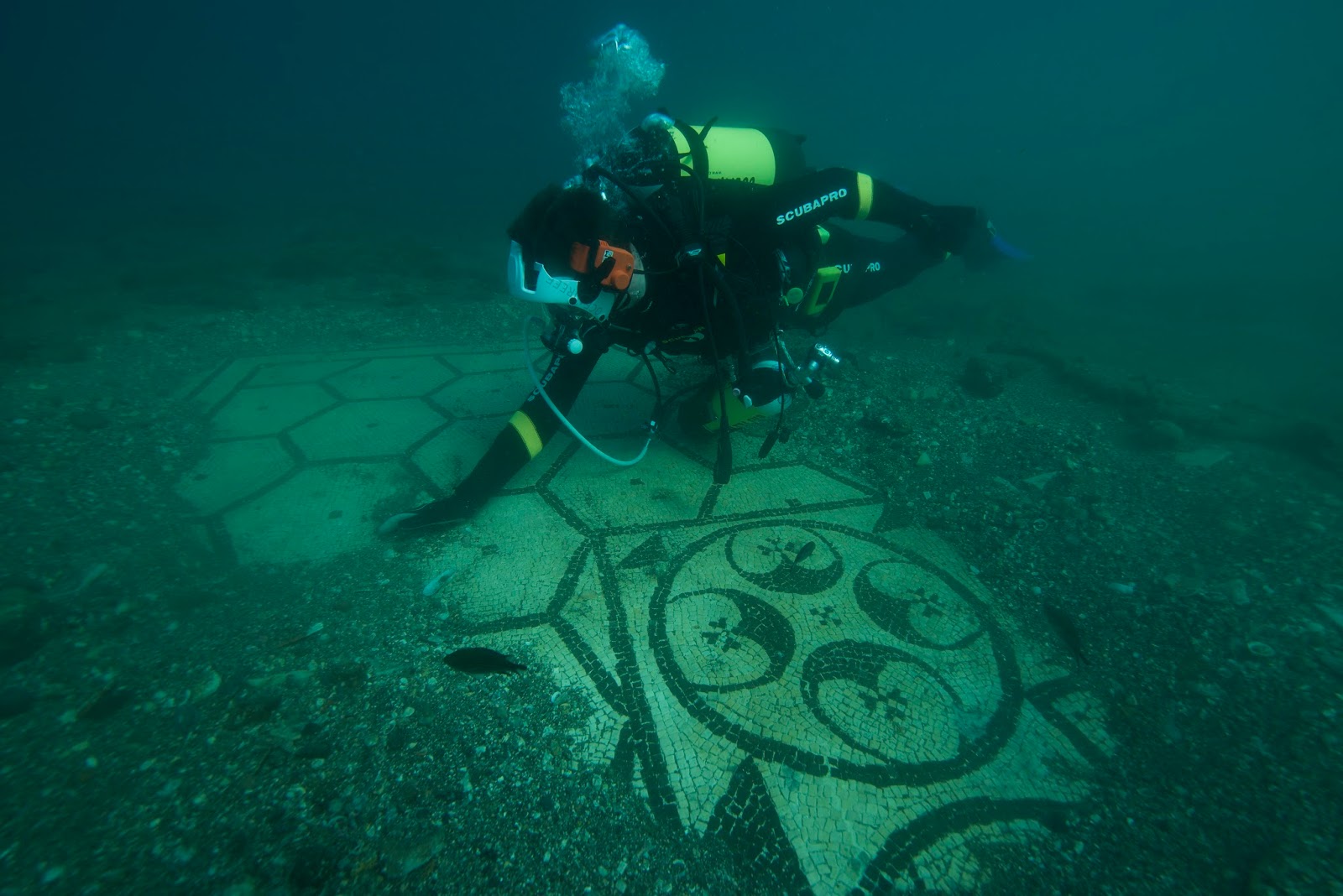 Dr Michael Scott Academic and Broadcaster in Ancient History and