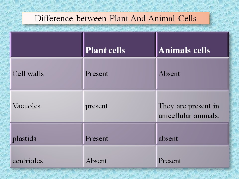 SONU ACADEMY PLANT CELL TEXT