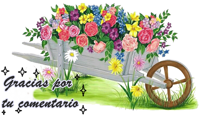 Imagen 0