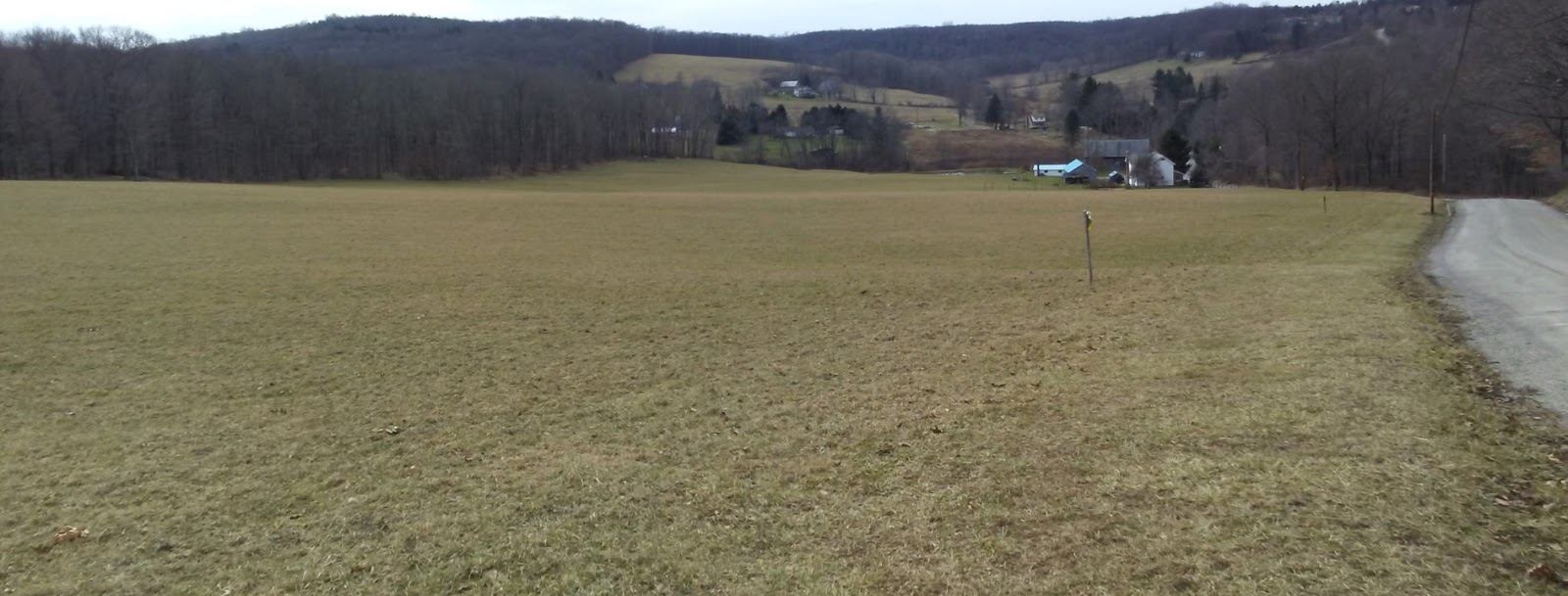 Valley Brook Farm Views