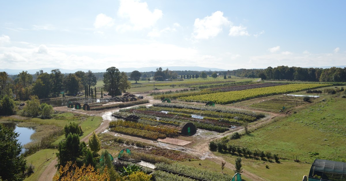 Jackson Nursery About Us