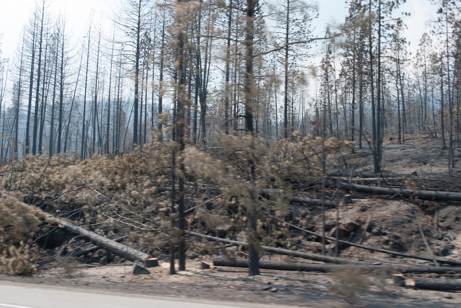 Porsche Home Porsche Usa