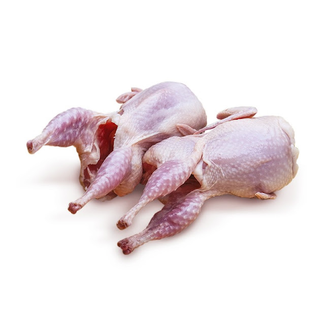 PEMBEKAL DAGING PUYUH HALAL, FROZEN QUAIL MEAT SUPPLIER, DAGING PUYUH