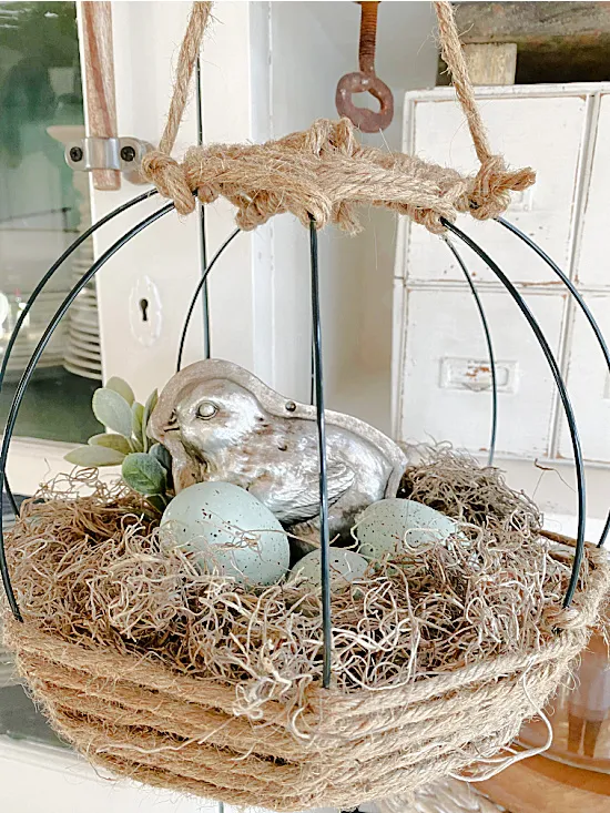 eggs and bird in hanging nest