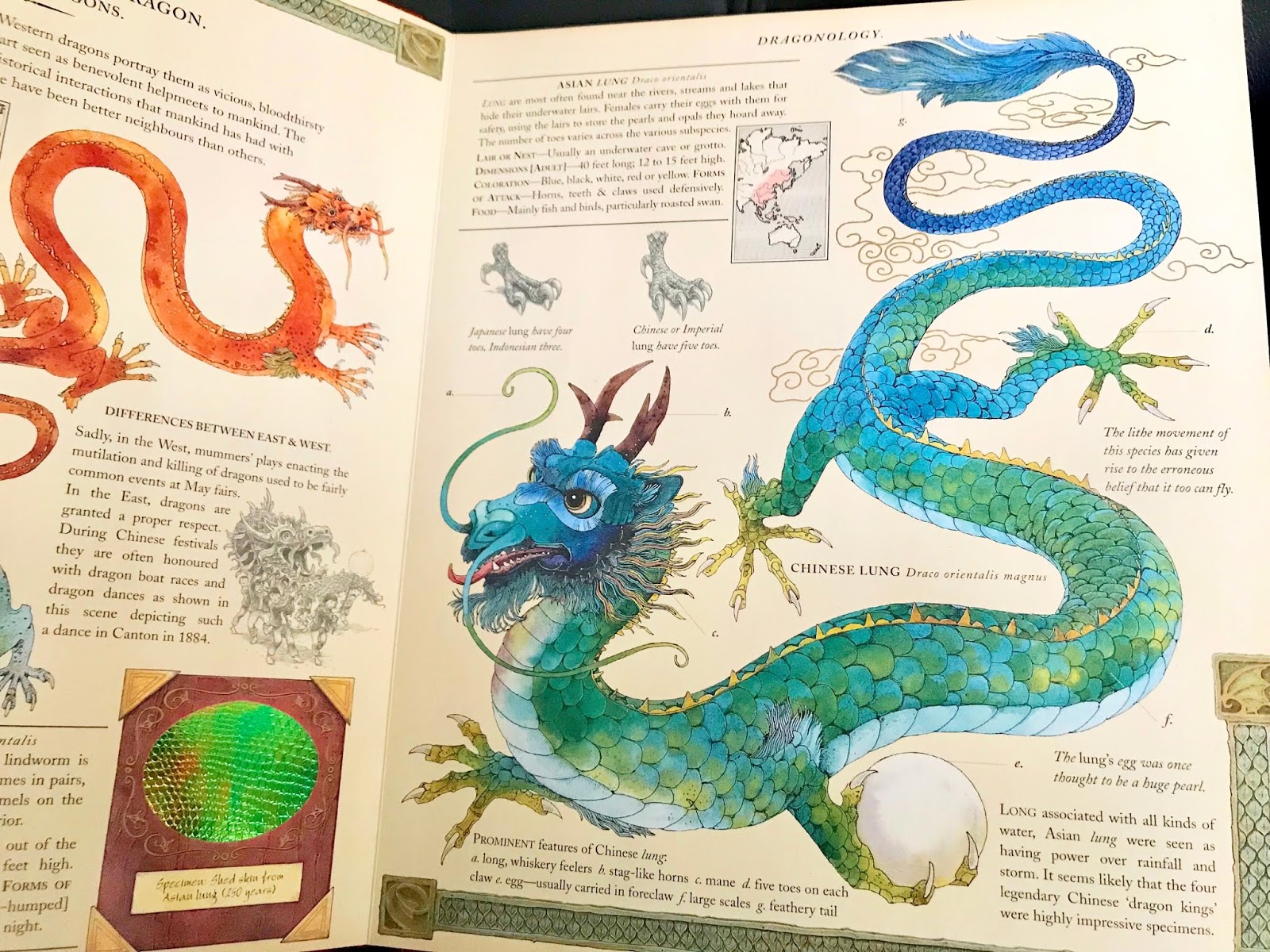 Dumped Drunk And Dalish The Ultimate Dragon Age Timeline From