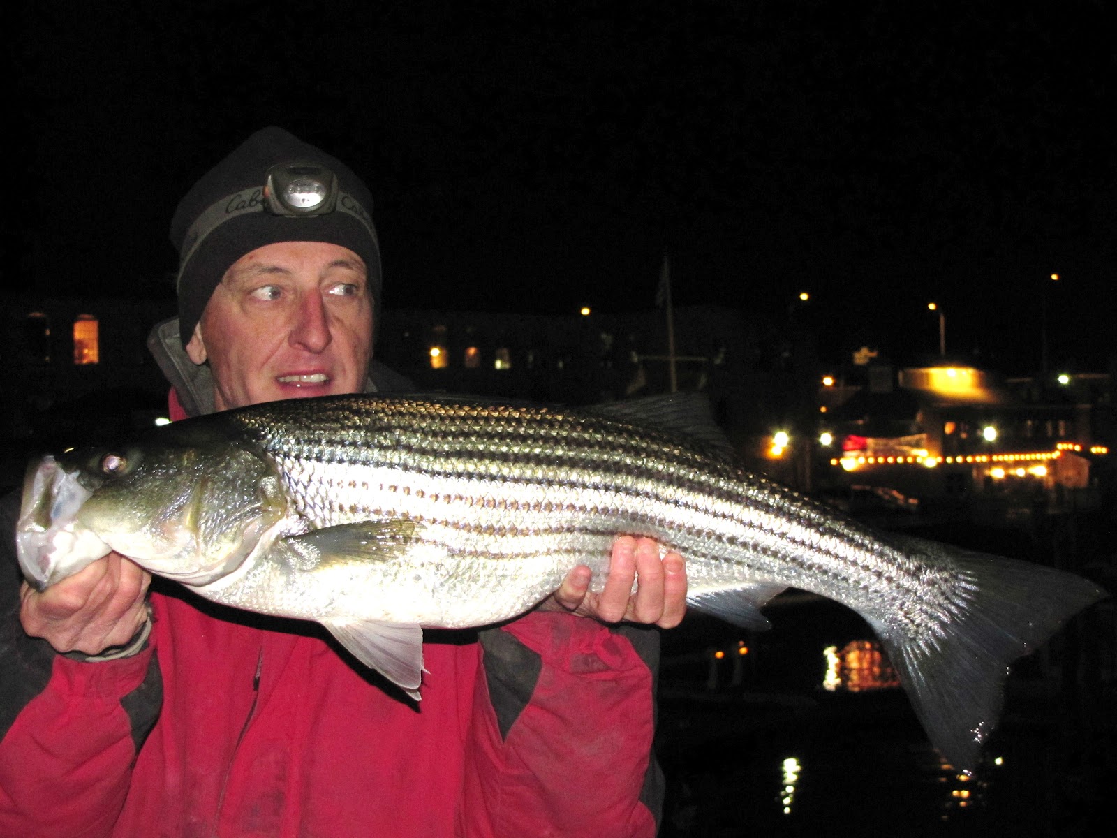 Rhode Island Striped Bass Bite is Back