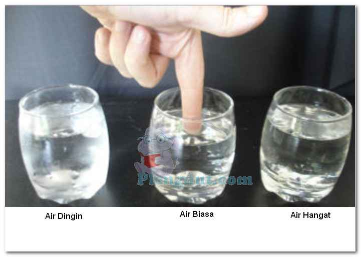 Termometer Macam Jenis Skala Suhu Dan Bagian Termometer