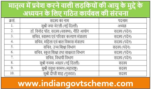 Composition of the Task force
